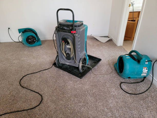 Best Water damage restoration near me  in Arroyo Grande, CA