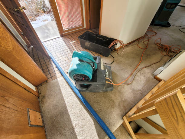  Arroyo Grande, CA Water damage restoration Pros