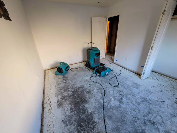 Reliable Arroyo Grande, CA Water damage restoration Solutions