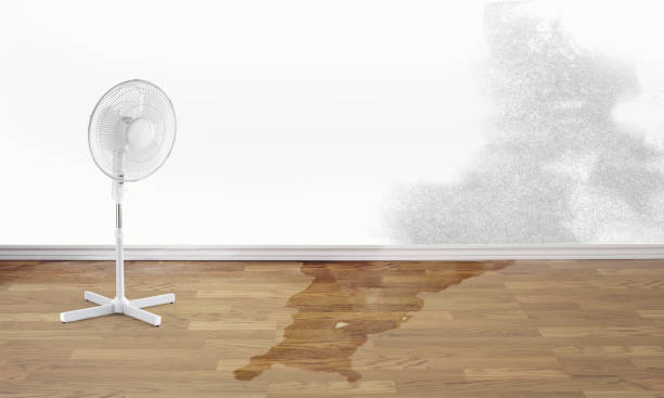 Best 24-hour water damage restoration  in Arroyo Grande, CA