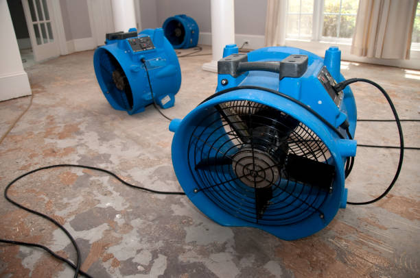 Best Mold removal after water damage  in Arroyo Grande, CA