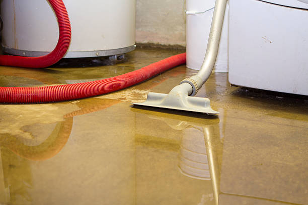 Arroyo Grande, CA Water damage restoration Company